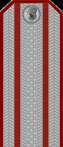 15Казачий полковник