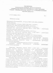 заключение по результ. экспертизы программы развития
