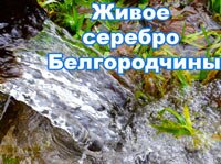 Живое серебро Белгородчины